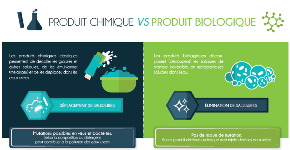 Schéma explicatif nettoyant enzymatique