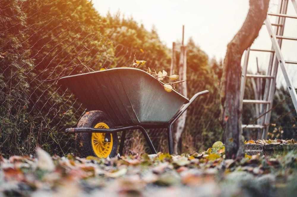 Brouette dans un jardin